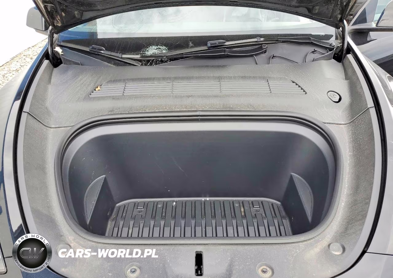 2025 Tesla Model Y VIN:7SAYGDEE4SF282824 - 11
