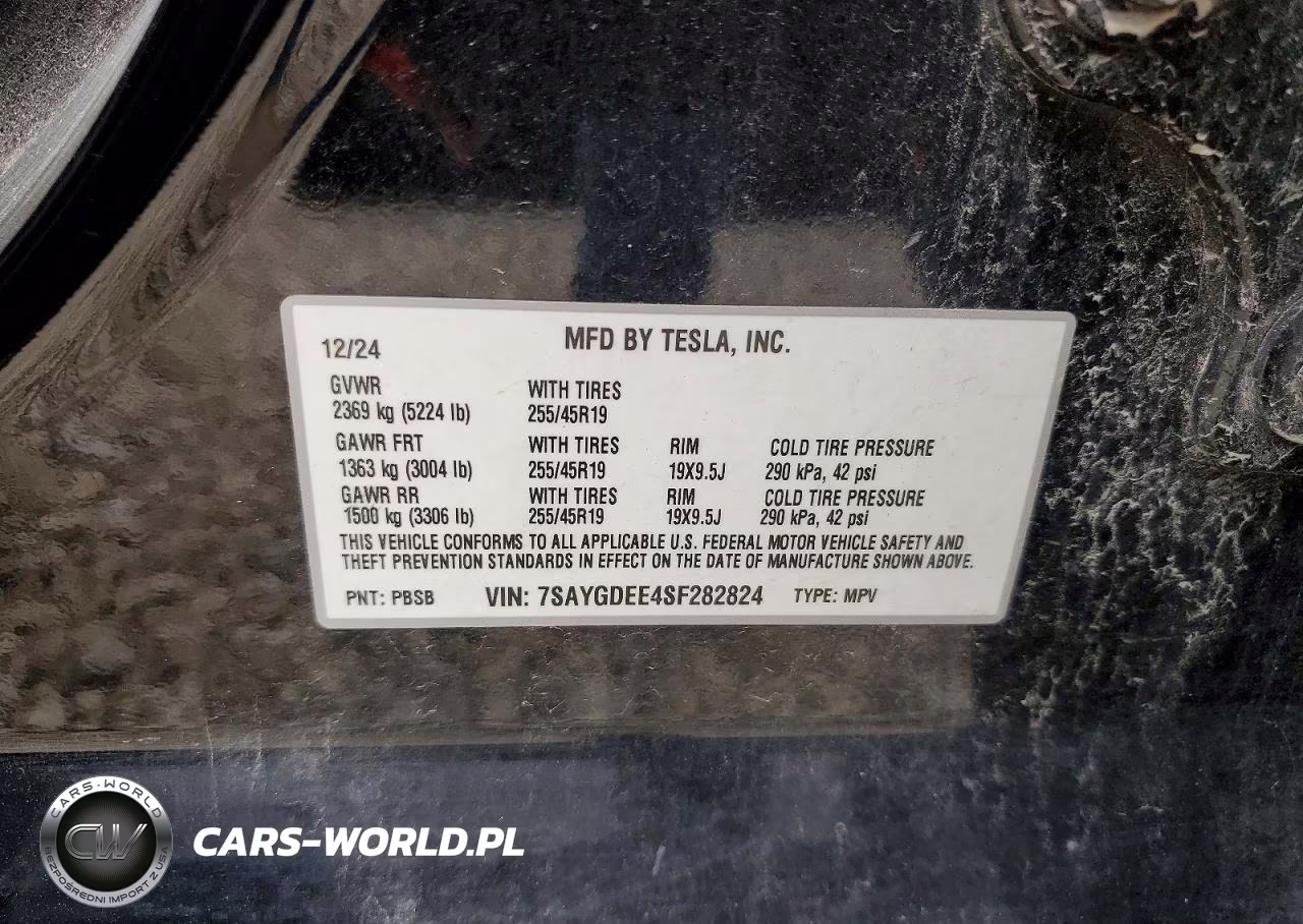2025 Tesla Model Y VIN:7SAYGDEE4SF282824 - 12