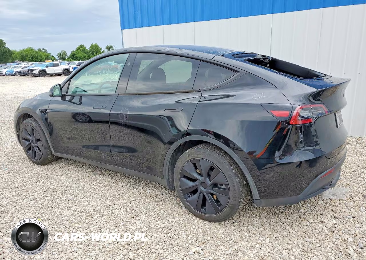 2025 Tesla Model Y VIN:7SAYGDEE4SF282824 - 2
