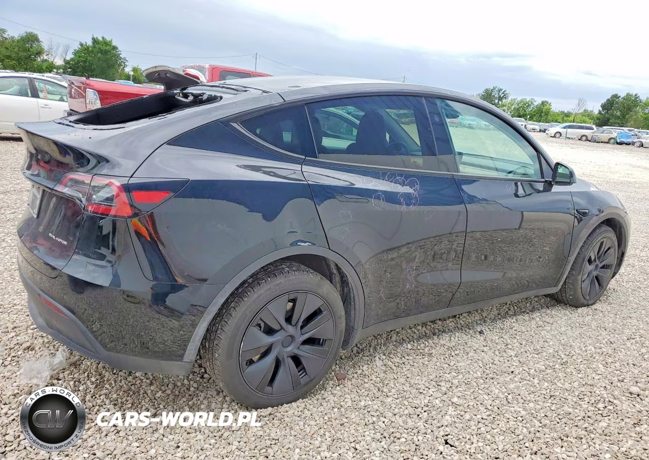2025 Tesla Model Y VIN:7SAYGDEE4SF282824 - 3
