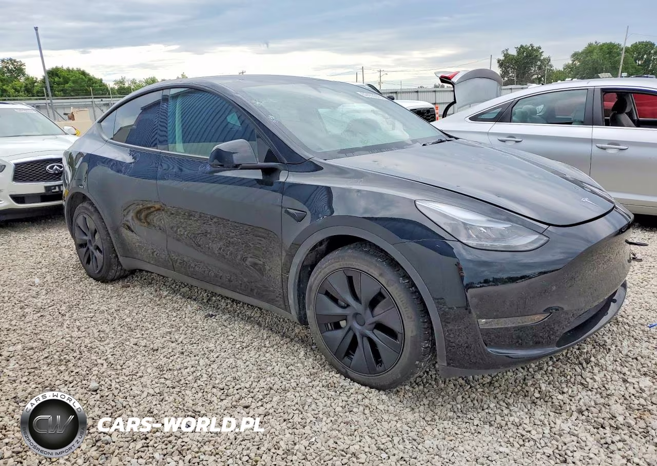 2025 Tesla Model Y VIN:7SAYGDEE4SF282824 - 4