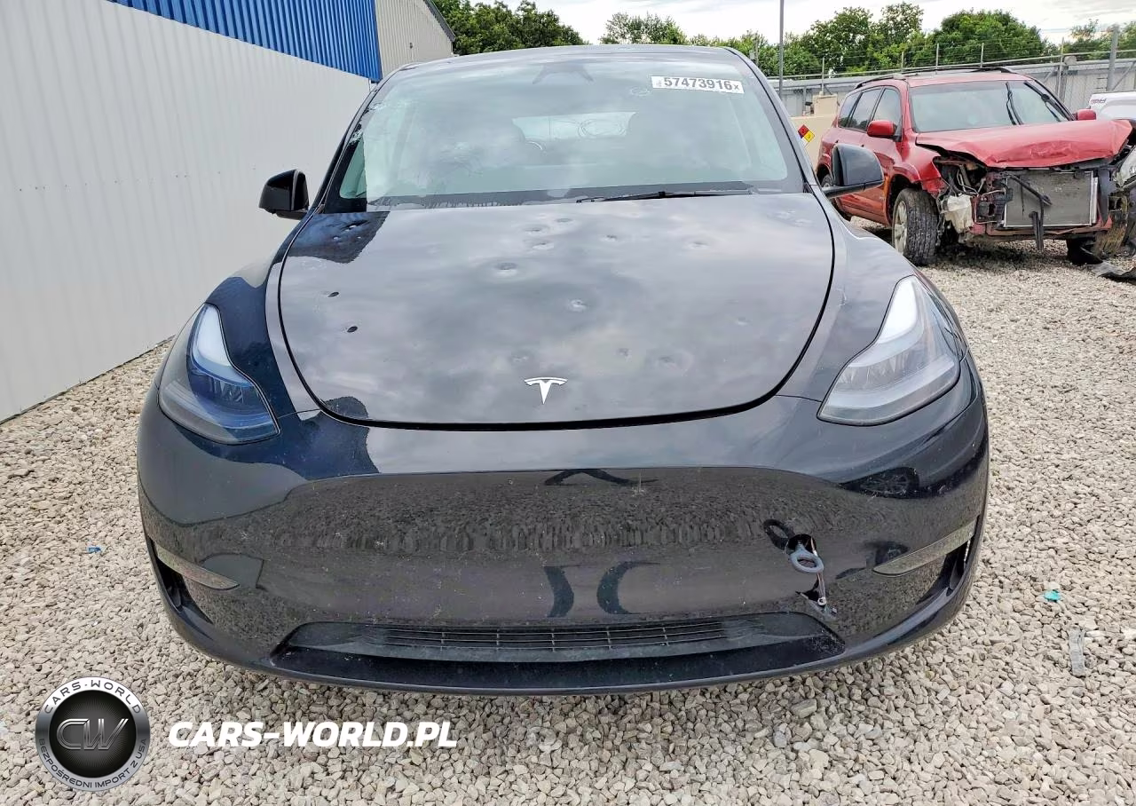 2025 Tesla Model Y VIN:7SAYGDEE4SF282824 - 5