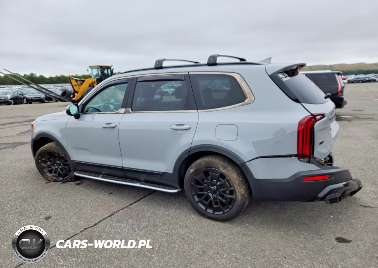 2021 Kia Telluride Ex VIN:5XYP3DHC6MG179334 - 2