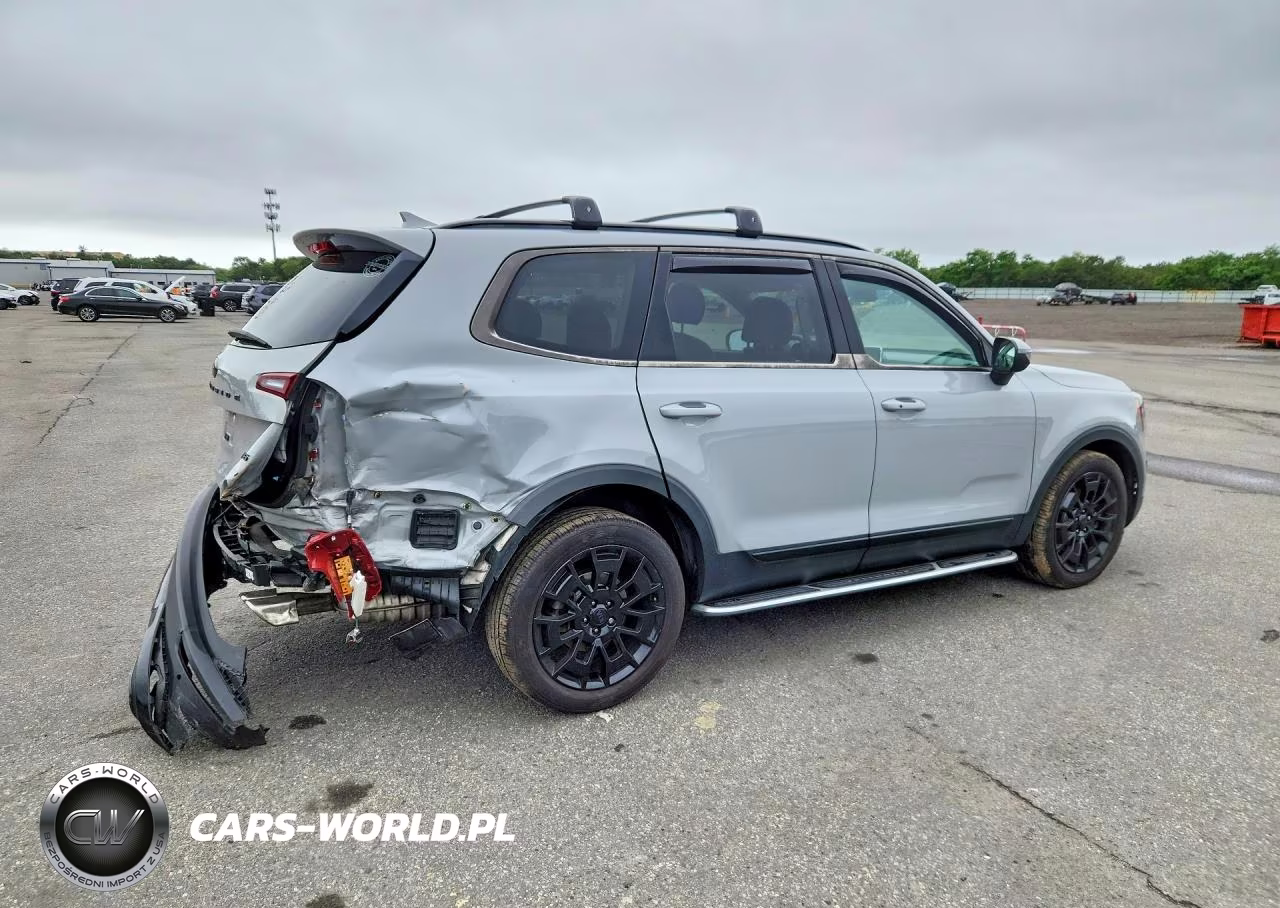2021 Kia Telluride Ex VIN:5XYP3DHC6MG179334 - 3