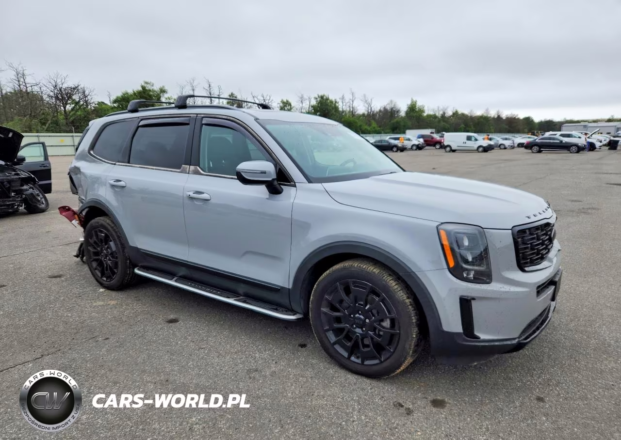2021 Kia Telluride Ex VIN:5XYP3DHC6MG179334 - 4