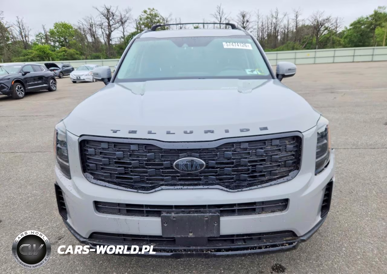 2021 Kia Telluride Ex VIN:5XYP3DHC6MG179334 - 5