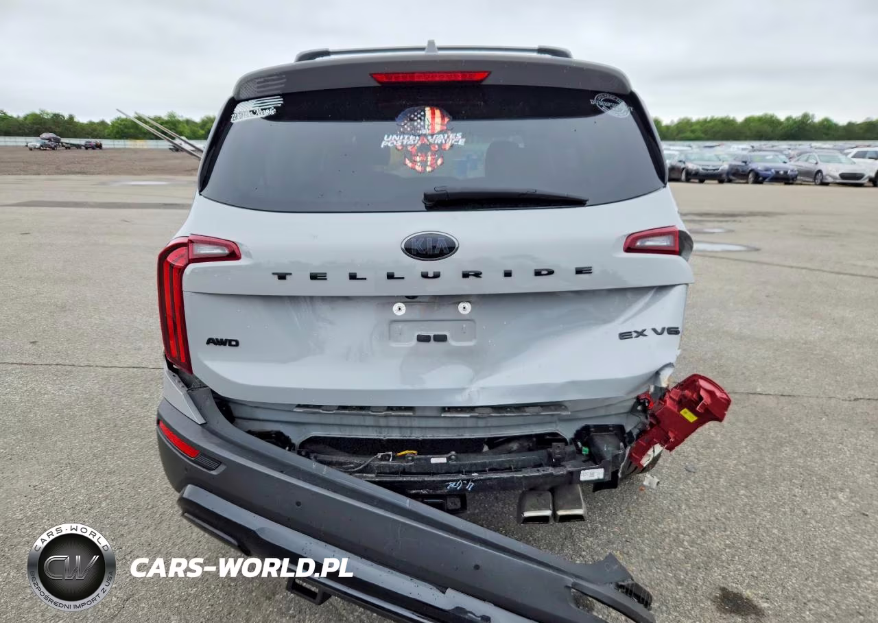 2021 Kia Telluride Ex VIN:5XYP3DHC6MG179334 - 6
