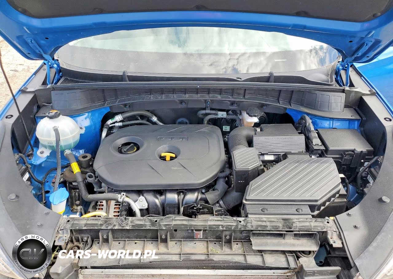 2019 Hyundai Tucson Value VIN:KM8J3CA41KU075652 - 12