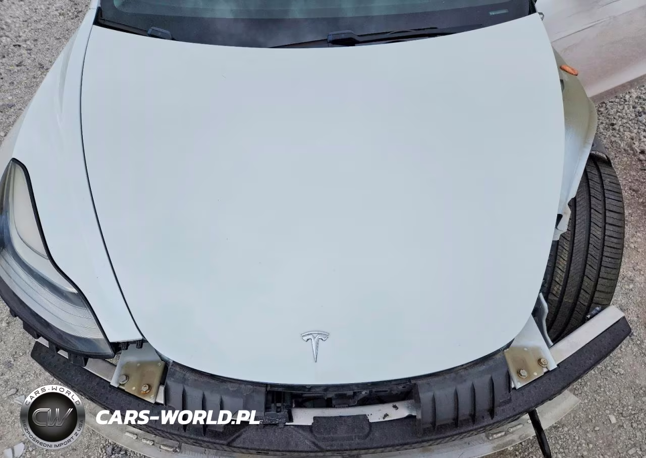 2019 Tesla Model 3 VIN:5YJ3E1EBXKF436955 - 11