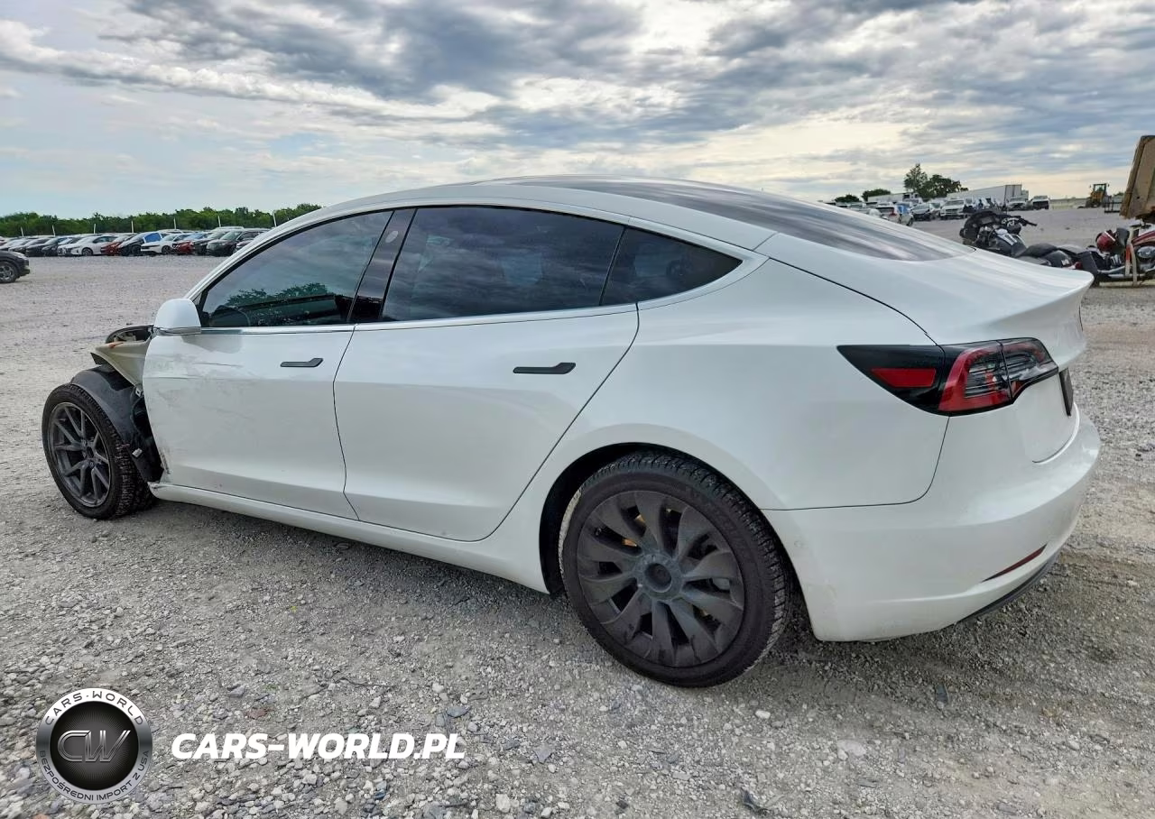 2019 Tesla Model 3 VIN:5YJ3E1EBXKF436955 - 2