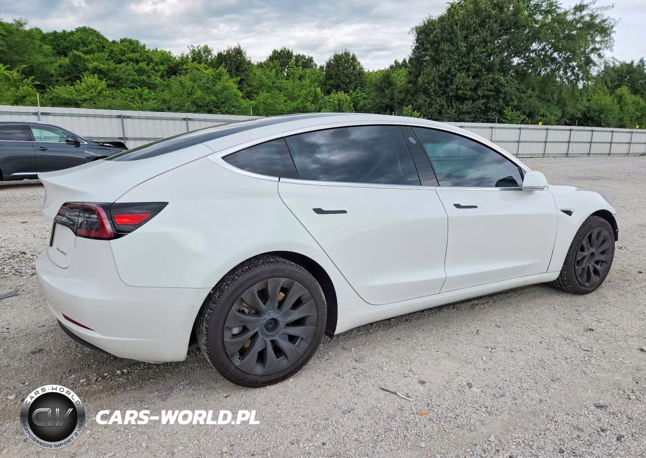 2019 Tesla Model 3 VIN:5YJ3E1EBXKF436955 - 3