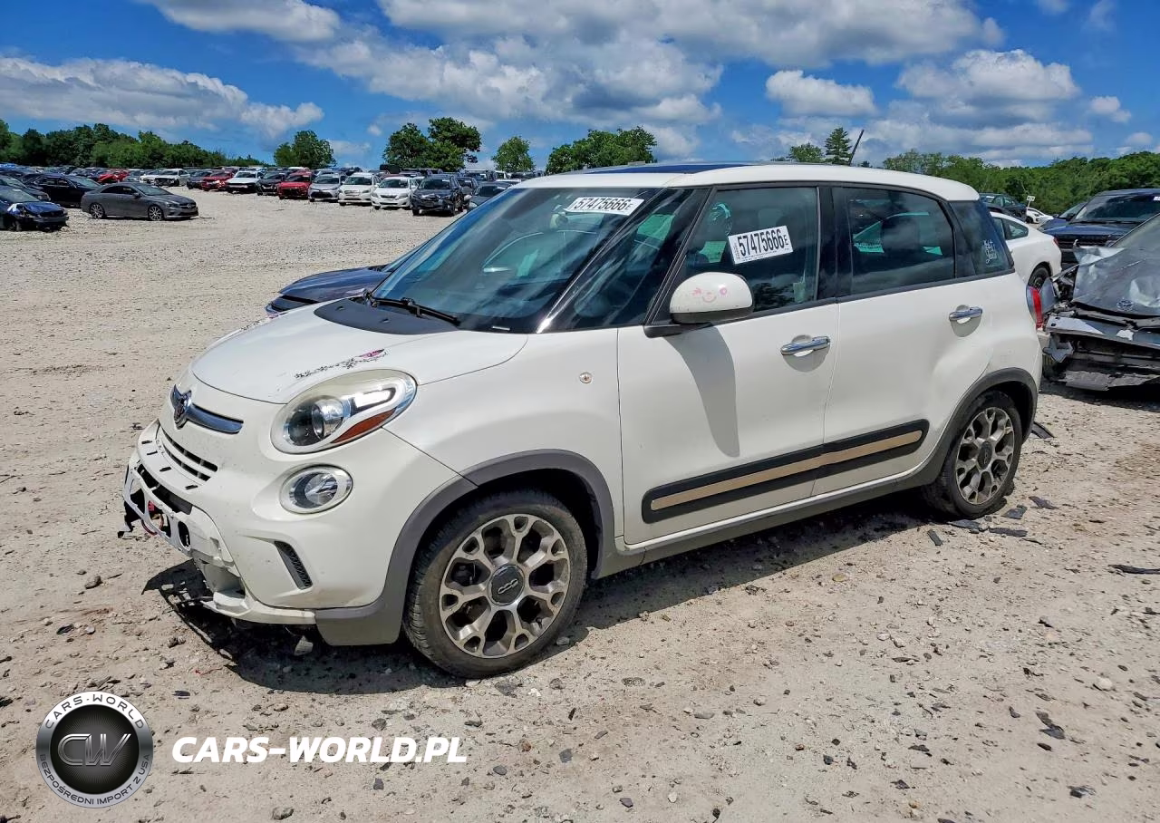 2014 Fiat 500L Trekking