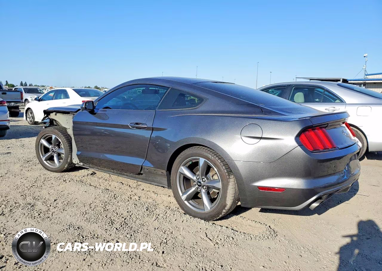 2017 Ford Mustang VIN:1FA6P8TH2H5215020 - 2