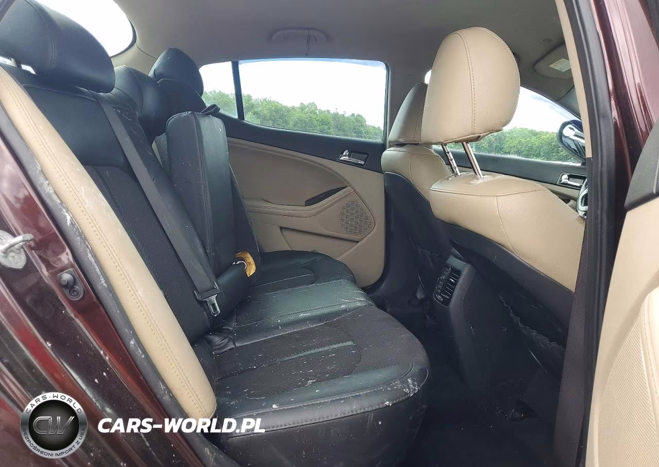 2013 Kia Optima Ex VIN:5XXGN4A79DG148011 - 10