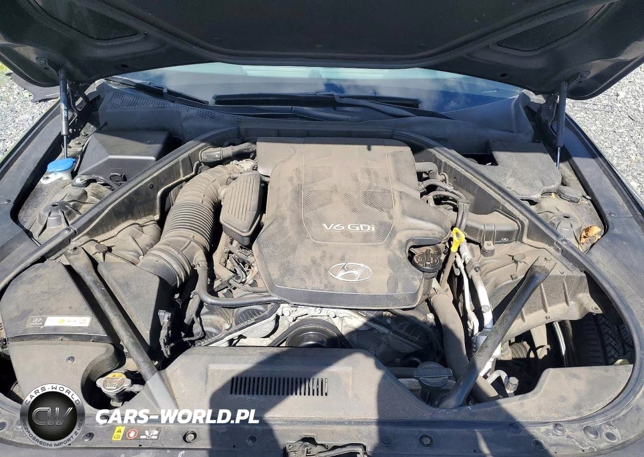 2015 Hyundai Genesis 3.8L VIN:KMHGN4JEXFU019055 - 11