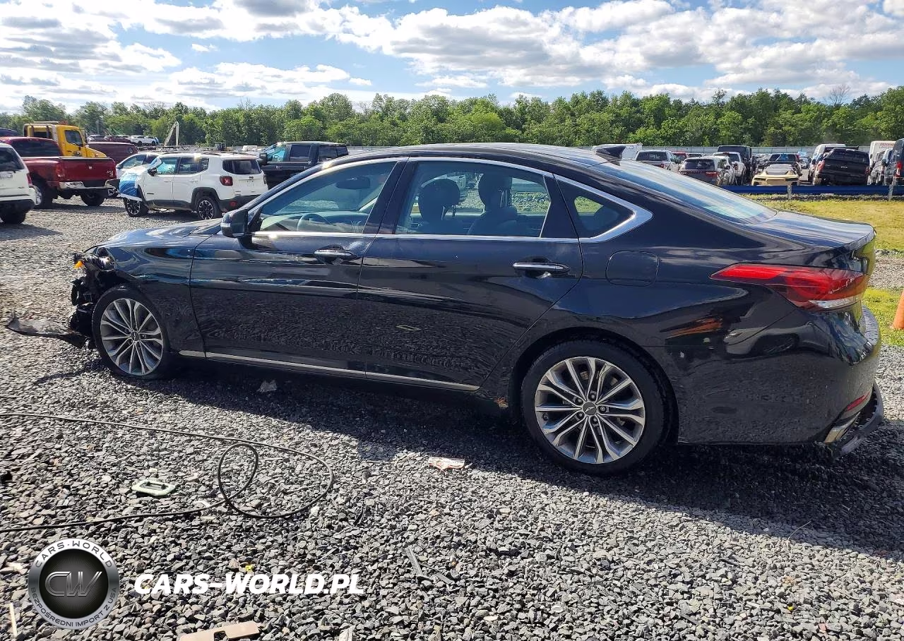 2015 Hyundai Genesis 3.8L VIN:KMHGN4JEXFU019055 - 2