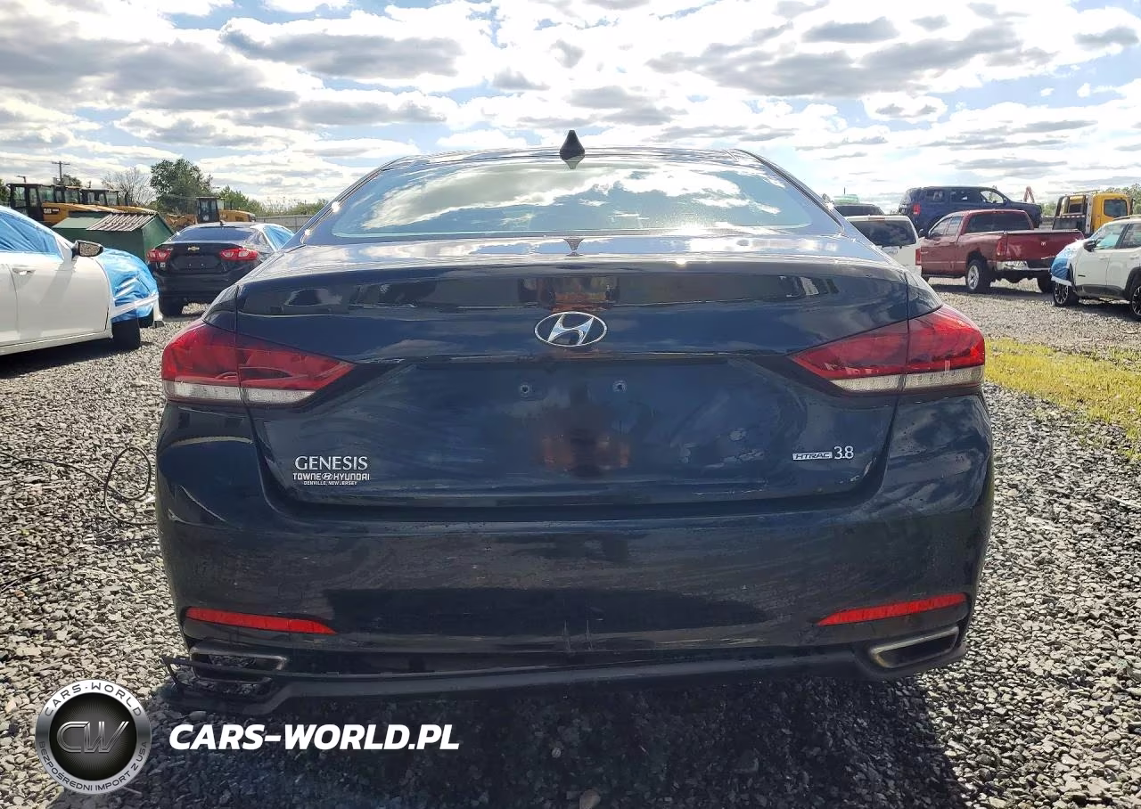 2015 Hyundai Genesis 3.8L VIN:KMHGN4JEXFU019055 - 6