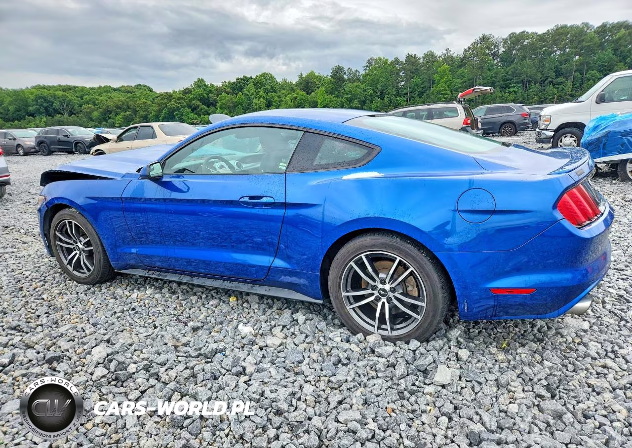 2017 Ford Mustang VIN:1FA6P8TH7H5262818 - 2