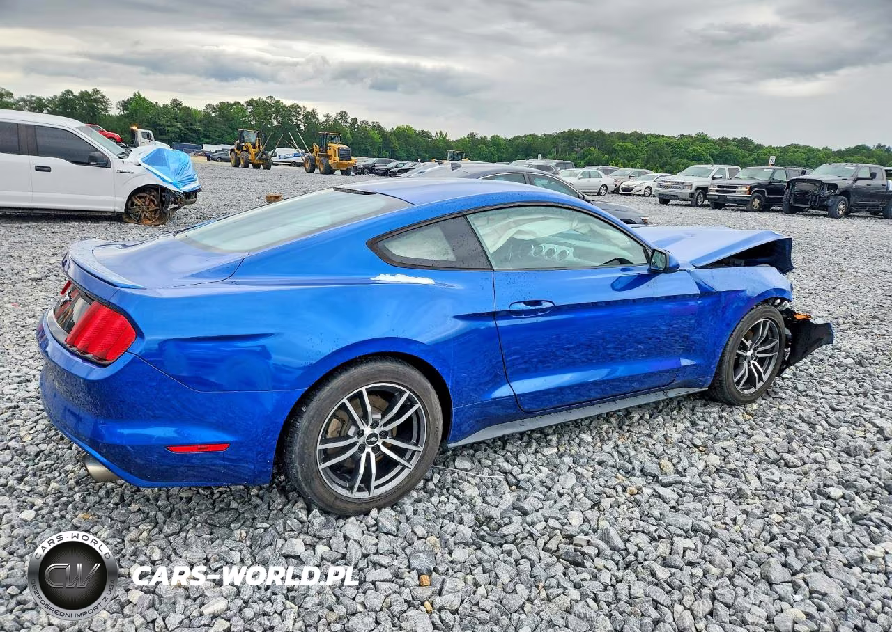2017 Ford Mustang VIN:1FA6P8TH7H5262818 - 3