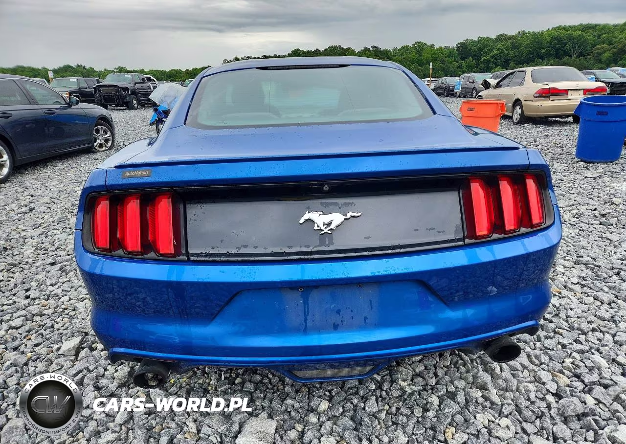 2017 Ford Mustang VIN:1FA6P8TH7H5262818 - 6