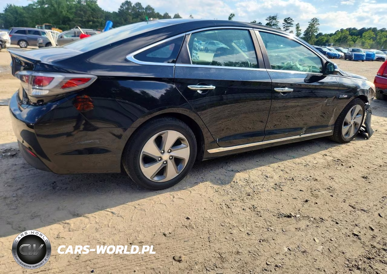 2016 Hyundai Sonata VIN:KMHE34L1XGA017719 - 3