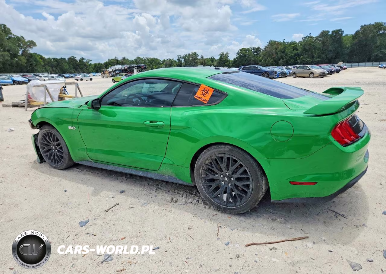 2019 Ford Mustang Gt VIN:1FA6P8CF5K5167308 - 2