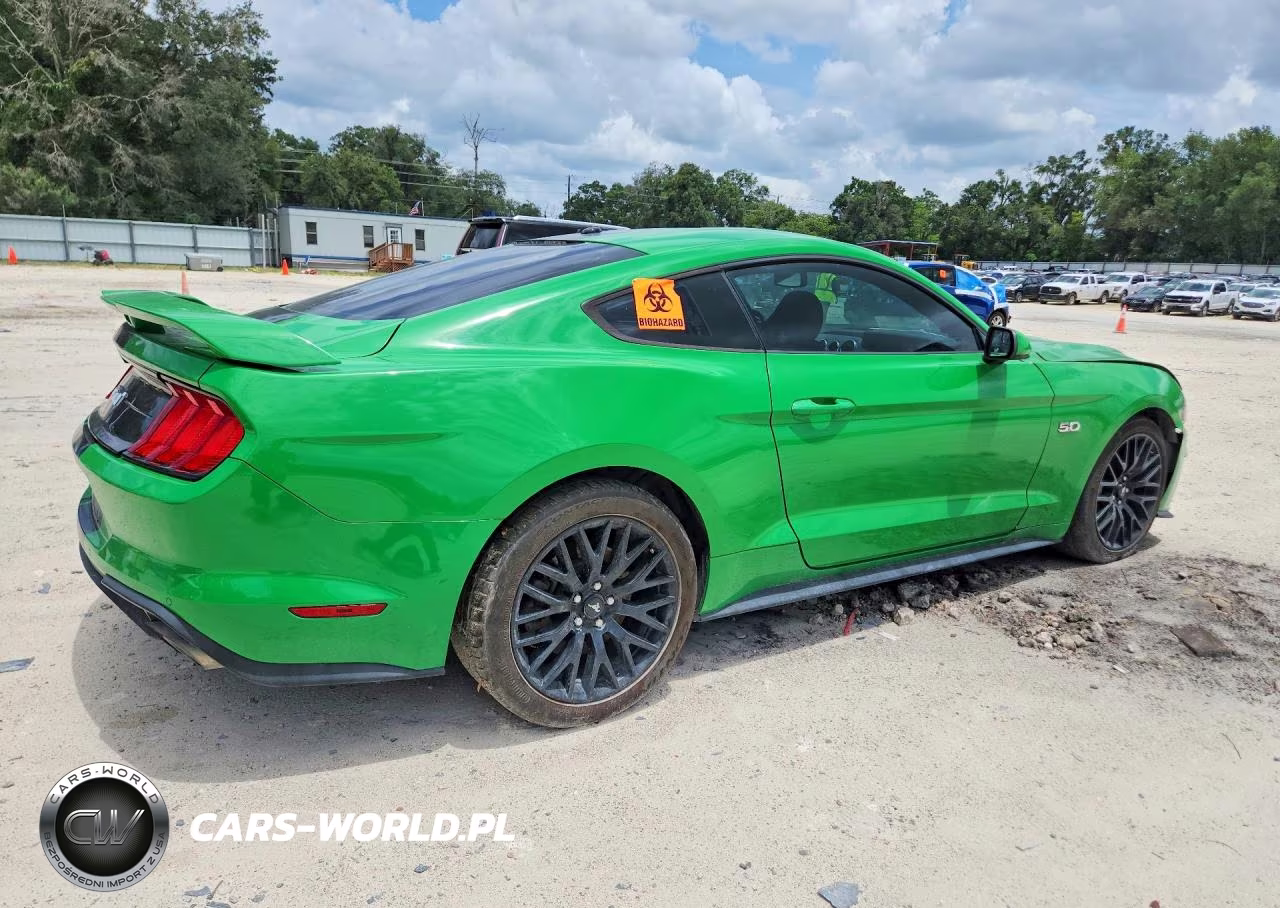 2019 Ford Mustang Gt VIN:1FA6P8CF5K5167308 - 3