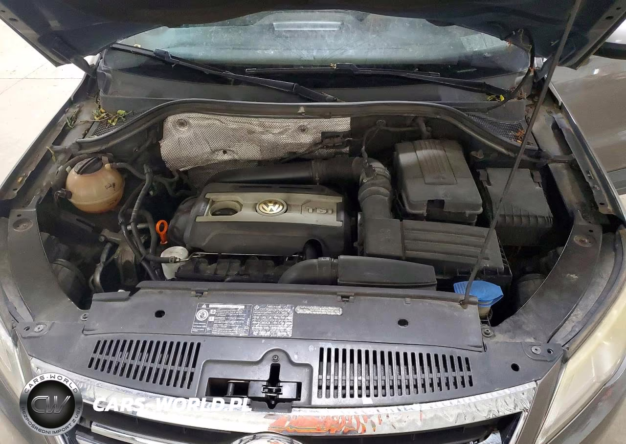 2009 Volkswagen Tiguan Se VIN:WVGBV95N39W522968 - 12