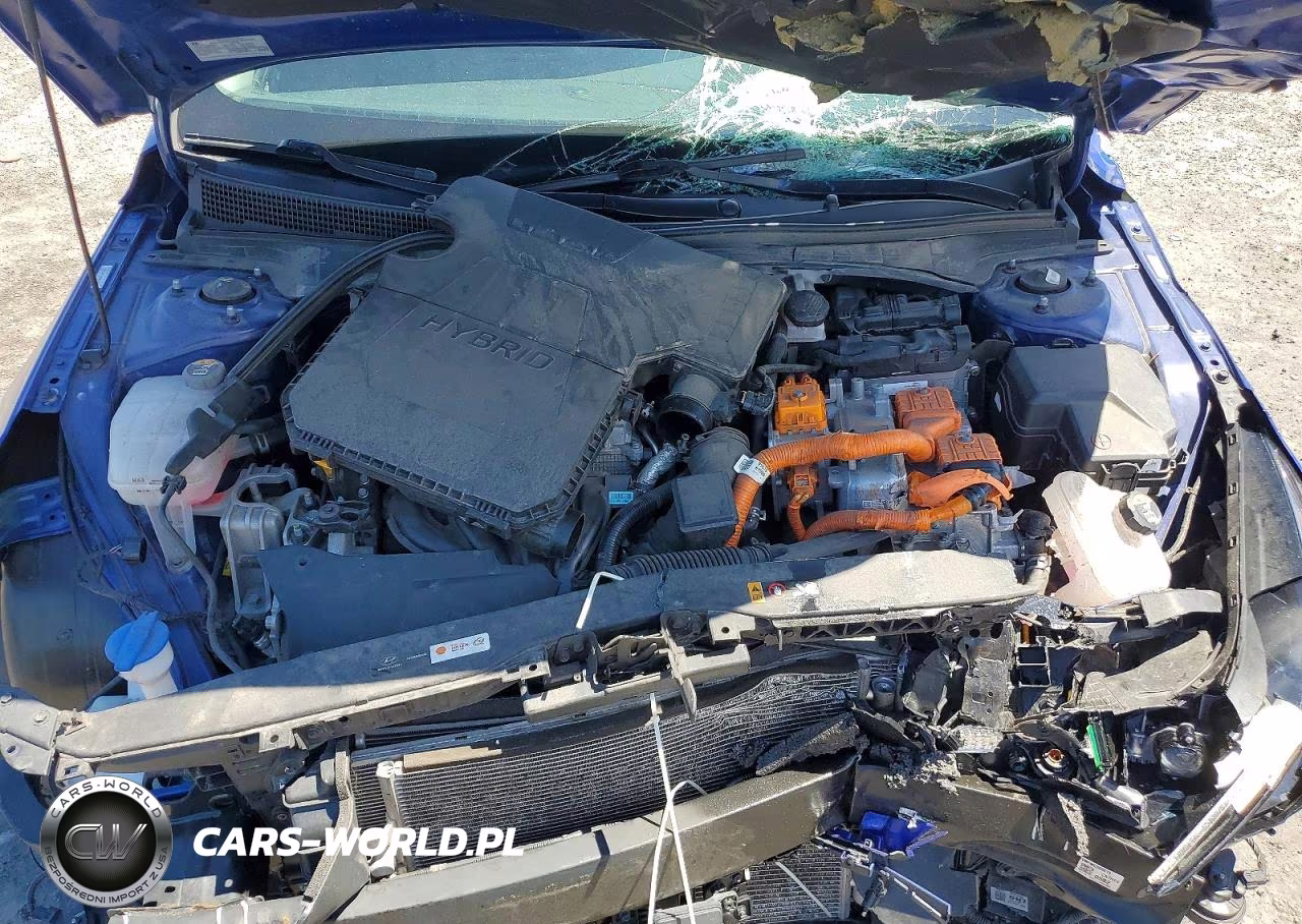 2021 Hyundai Elantra Limited VIN:KMHLN4AJ0MU011801 - 11