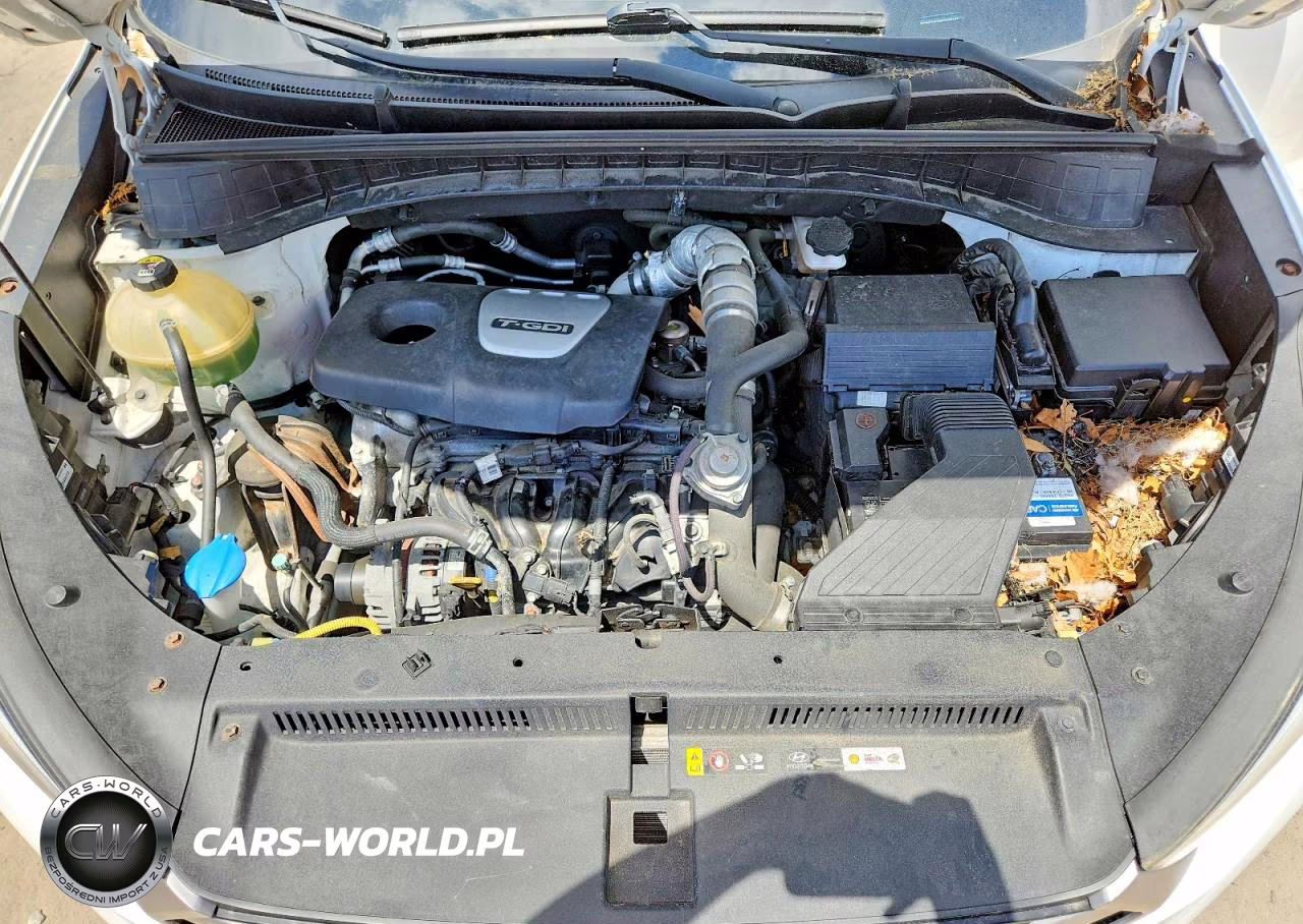 2017 Hyundai Tucson Sport VIN:KM8J3CA26HU293481 - 12