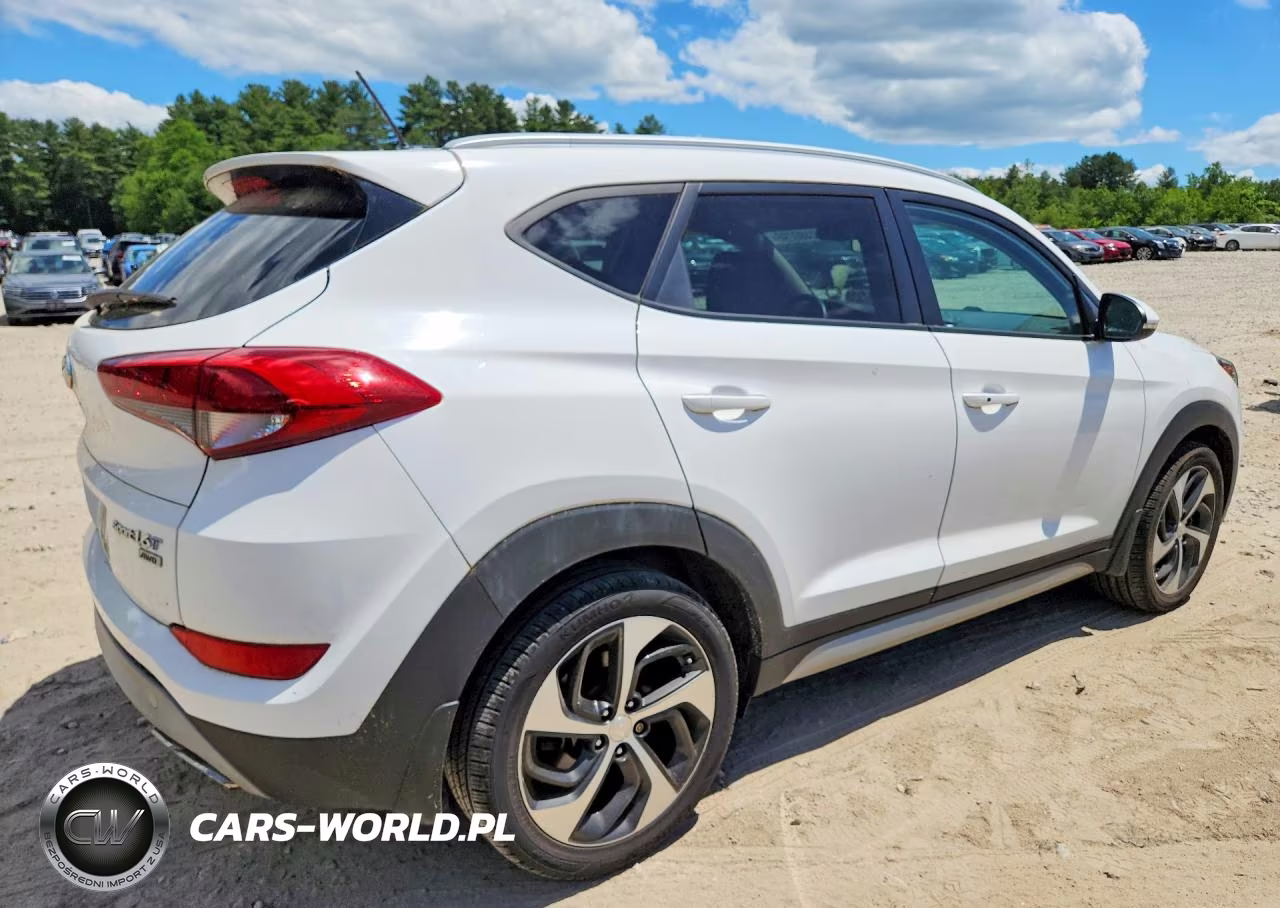 2017 Hyundai Tucson Sport VIN:KM8J3CA26HU293481 - 3