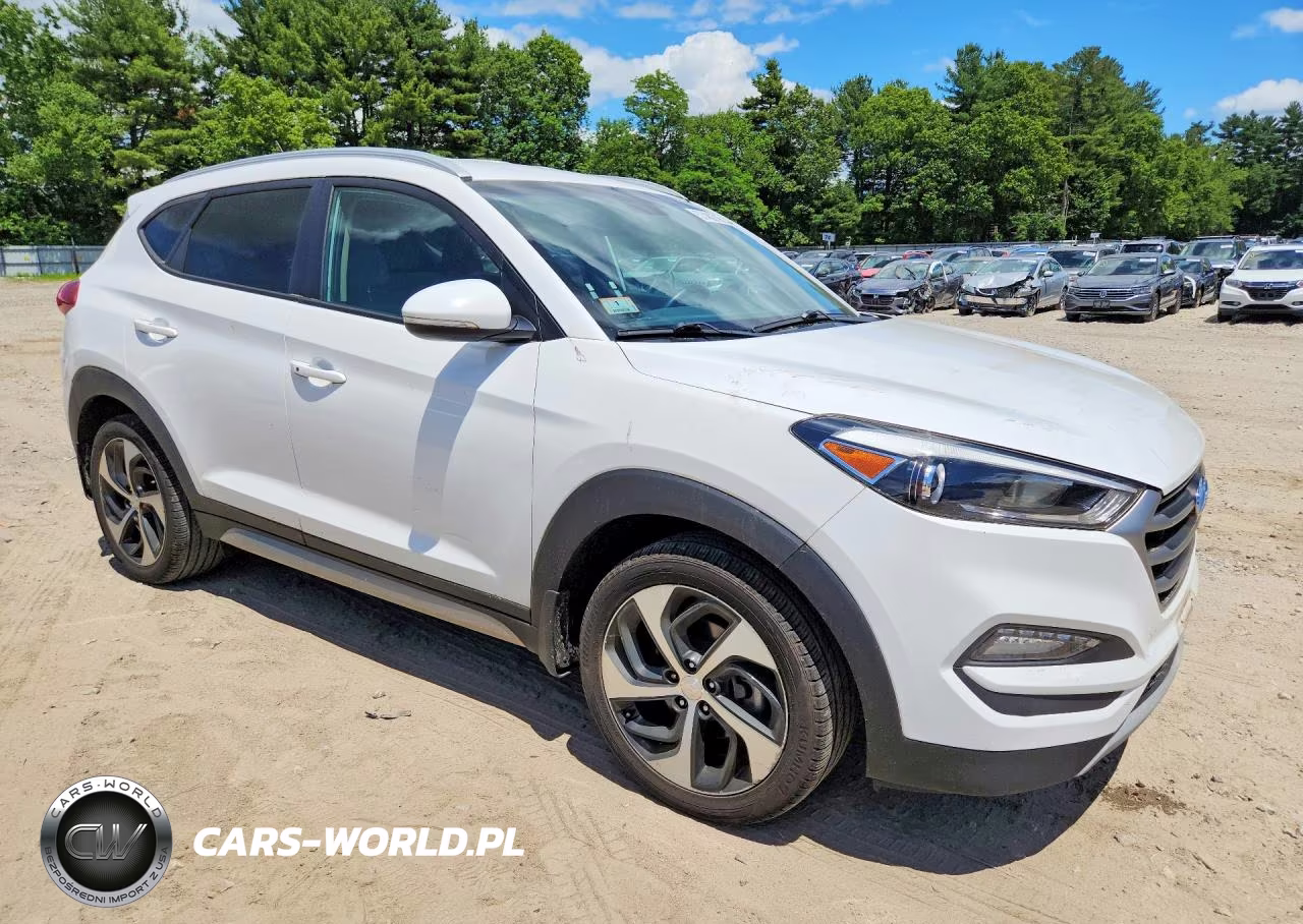 2017 Hyundai Tucson Sport VIN:KM8J3CA26HU293481 - 4