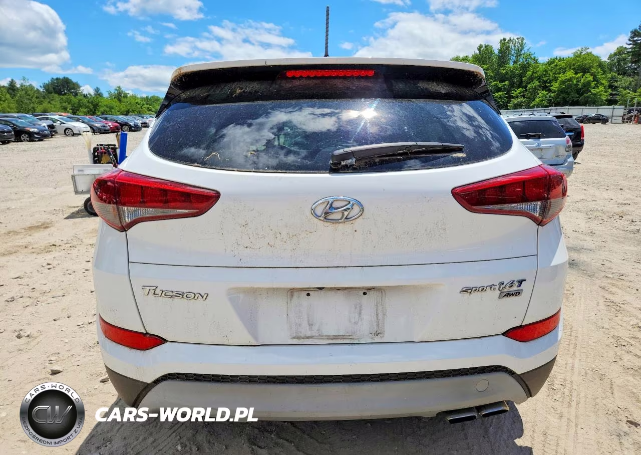2017 Hyundai Tucson Sport VIN:KM8J3CA26HU293481 - 6