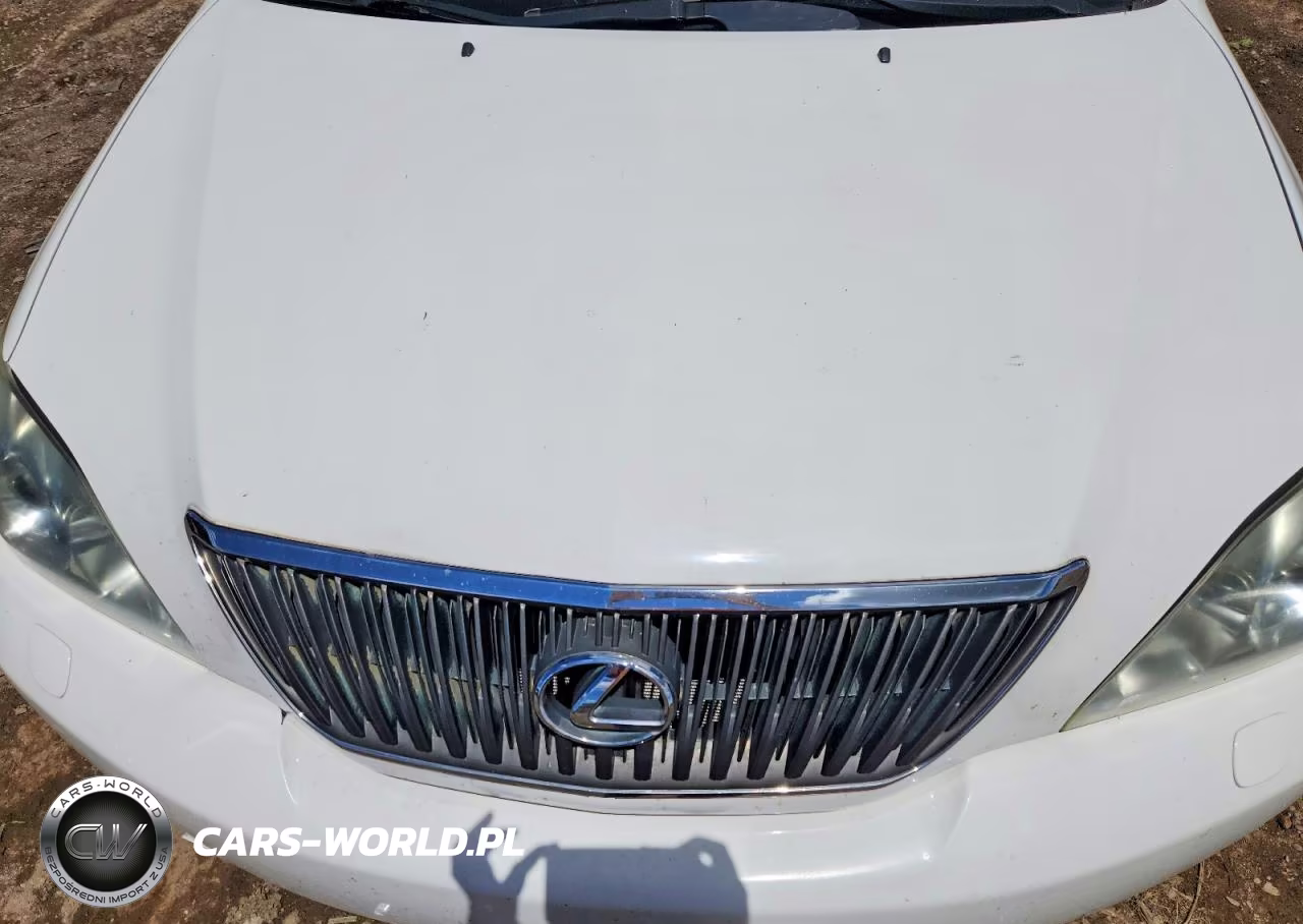 2004 Lexus Rx 330 VIN:2T2HA31U34C015263 - 12