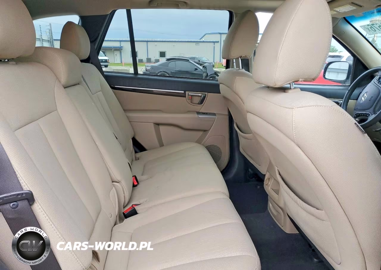2010 Hyundai Santa Fe Gls VIN:5NMSG3AB6AH414732 - 10