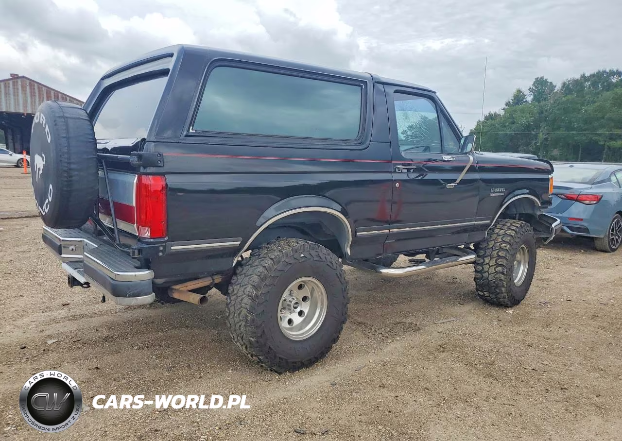 1989 Ford Bronco U100 VIN:1FMEU15NXKLB05243 - 3