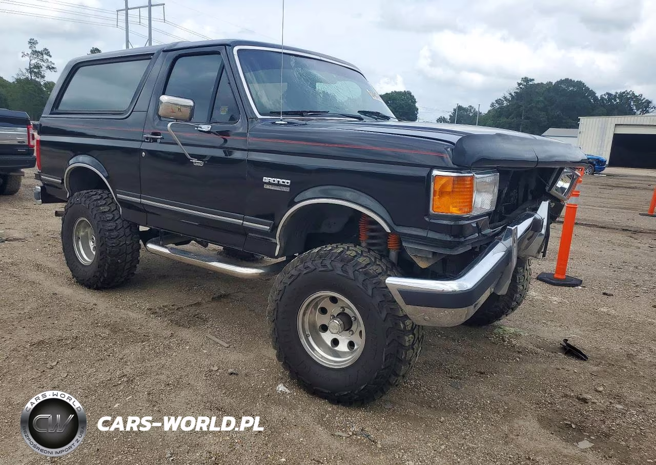 1989 Ford Bronco U100 VIN:1FMEU15NXKLB05243 - 4