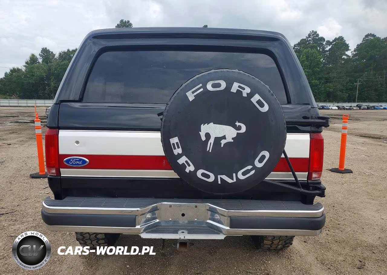 1989 Ford Bronco U100 VIN:1FMEU15NXKLB05243 - 6