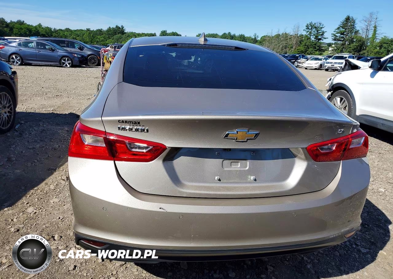 2024 Chevrolet Malibu Lt VIN:1G1ZD5ST6RF244349 - 6