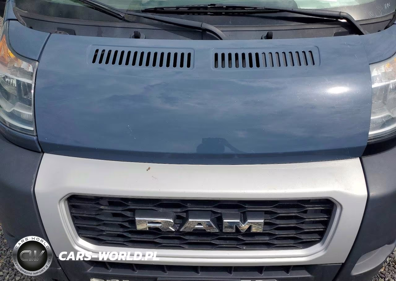2020 Ram Promaster 3500 3500 High VIN:3C6URVJG5LE136403 - 12