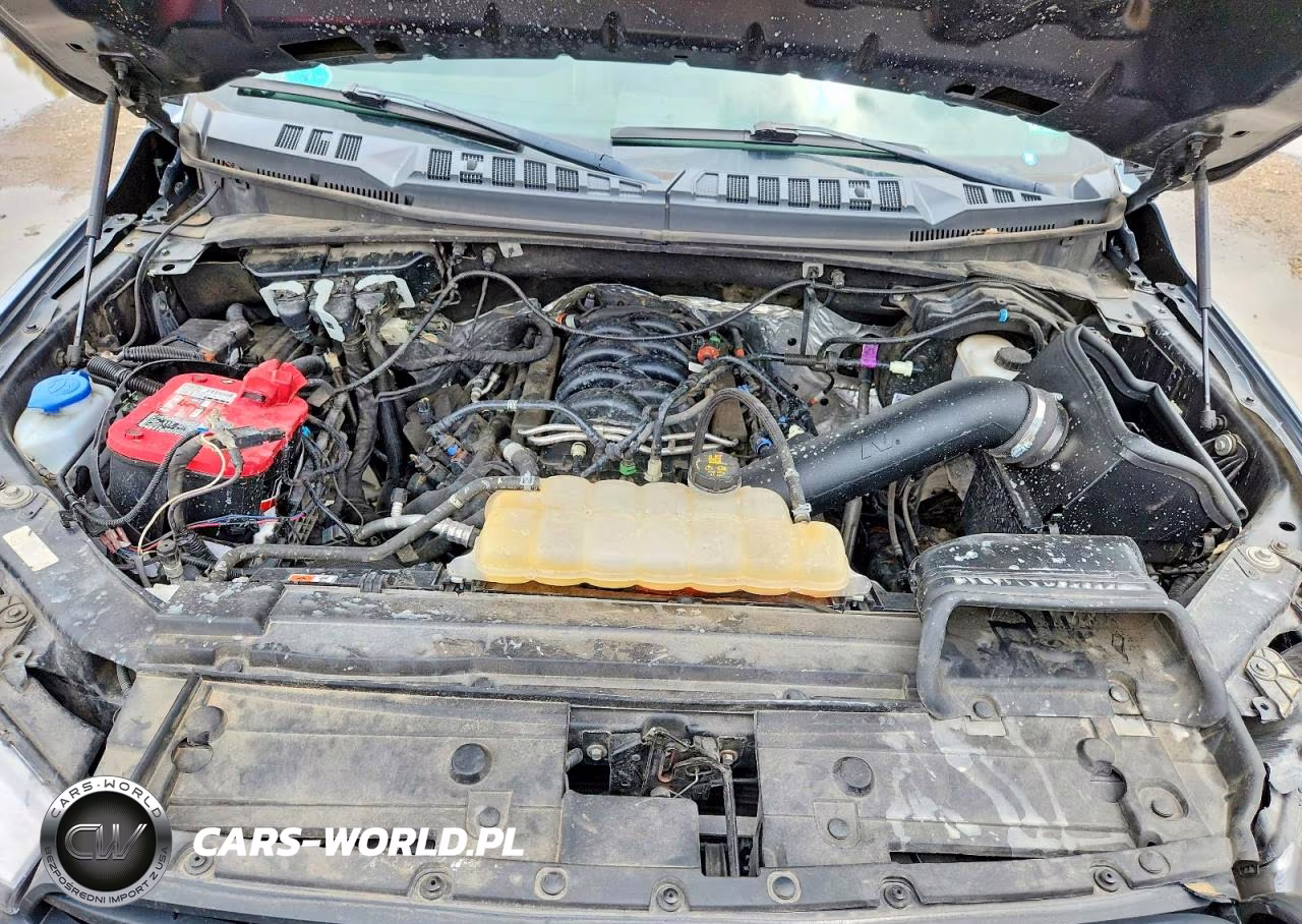 2019 Ford F150 Supercrew VIN:1FTEW1E50KFA50220 - 11