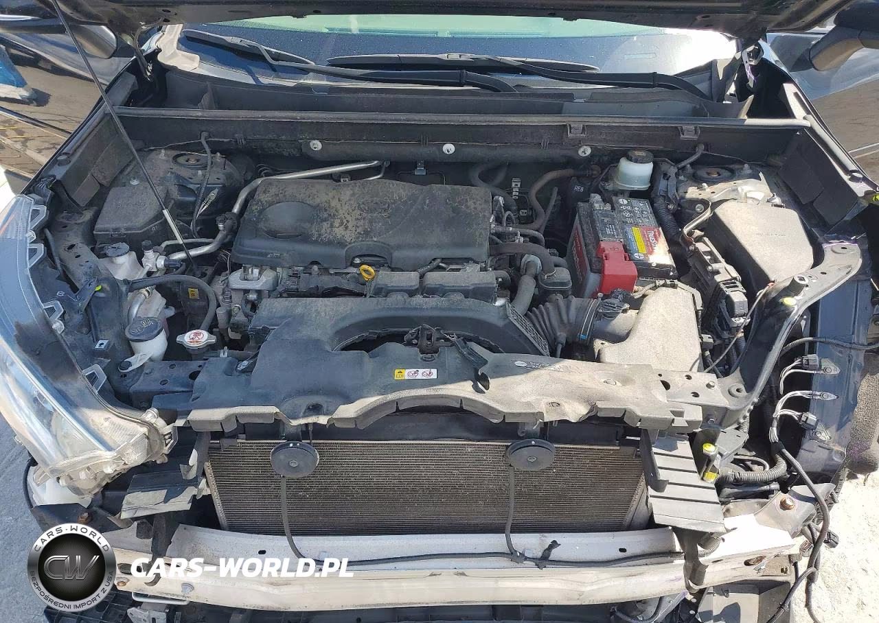 2019 Toyota Rav4 Xle VIN:JTMP1RFV5KD007878 - 12