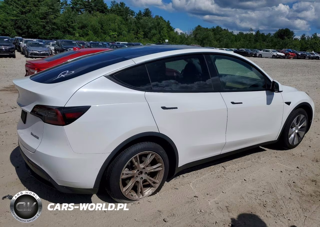 2021 Tesla Model Y VIN:5YJYGDEE9MF255490 - 3