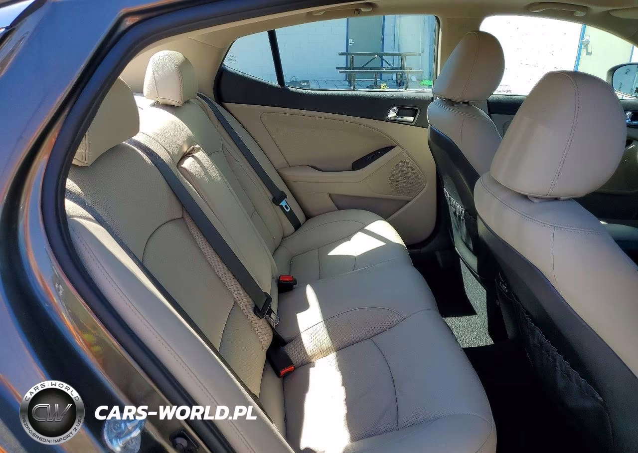 2014 Kia Optima Ex VIN:5XXGN4A71EG322400 - 10