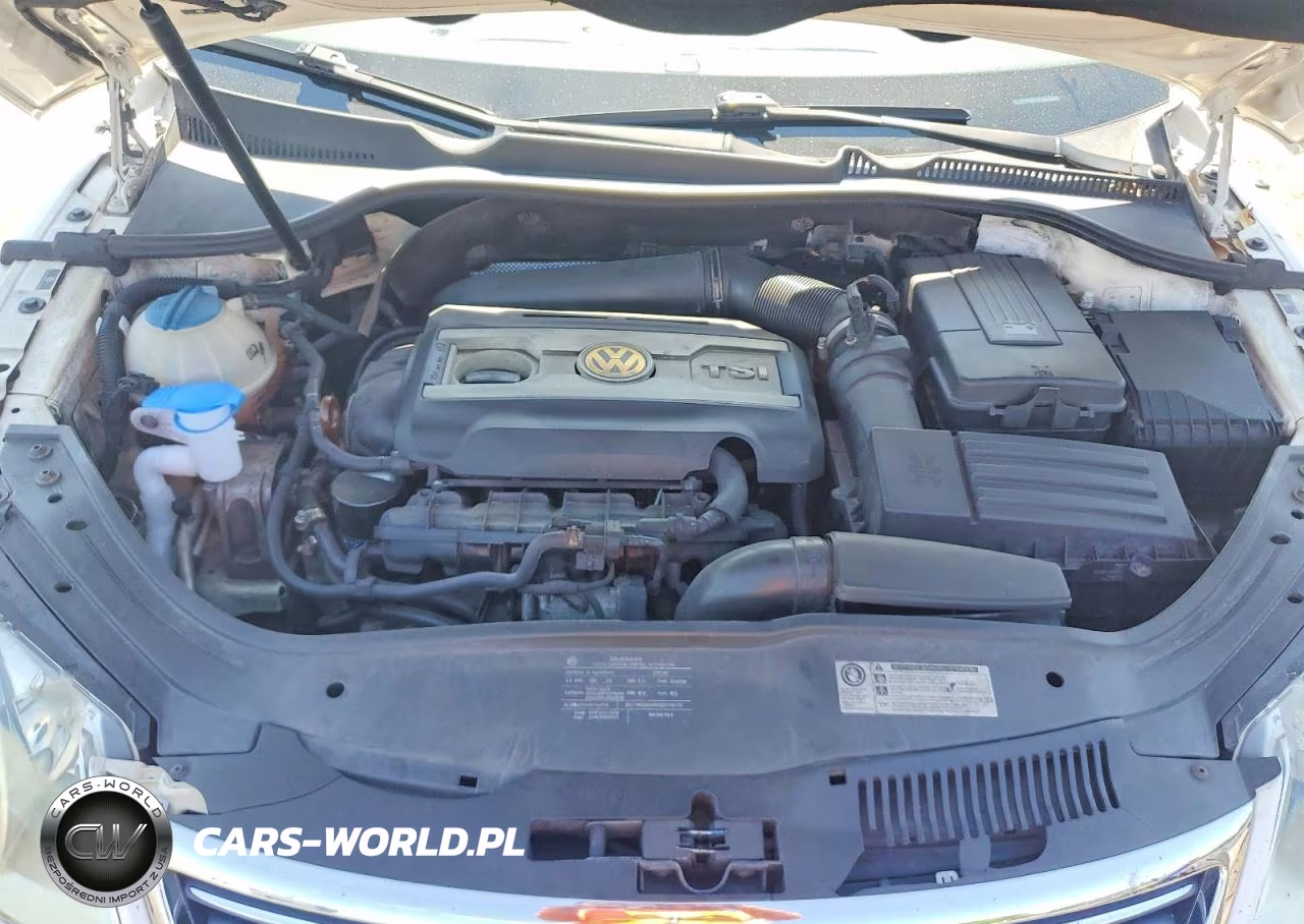 2010 Volkswagen Eos Lux VIN:WVWFA7AH7AV025406 - 11