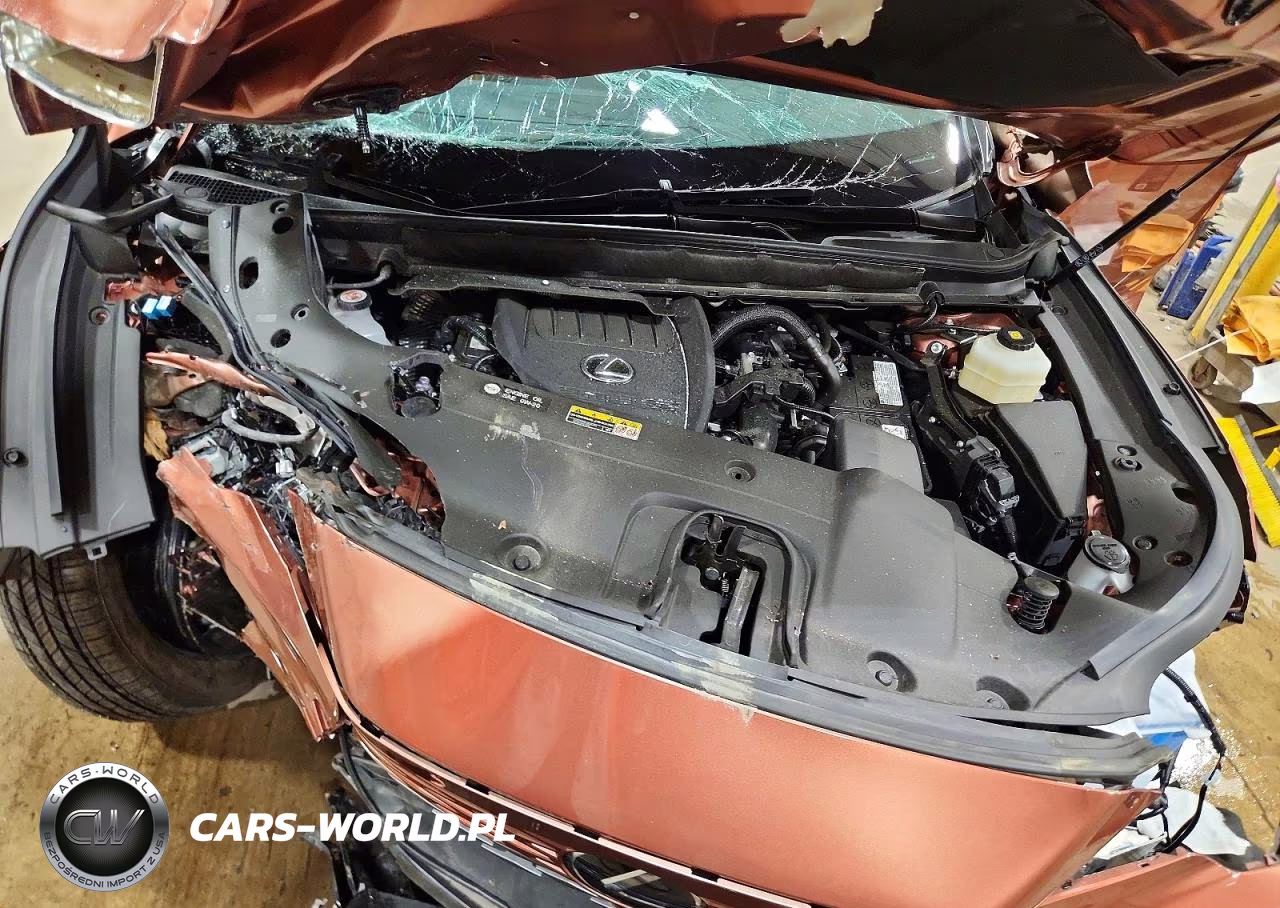 2025 Lexus Rx 350 Premium VIN:2T2BAMCA5SC090476 - 12