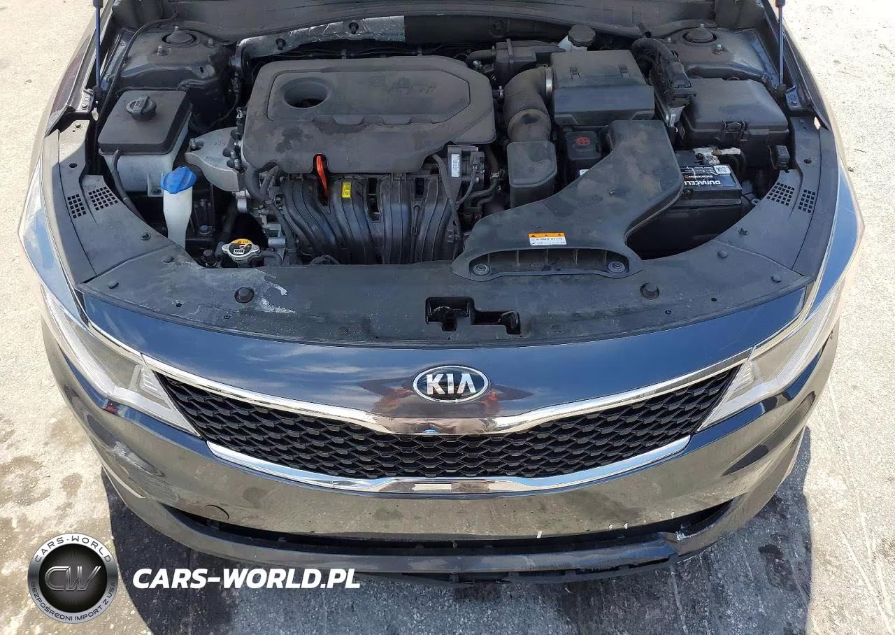 2018 Kia Optima Lx VIN:KNAGT4L35J5212106 - 11