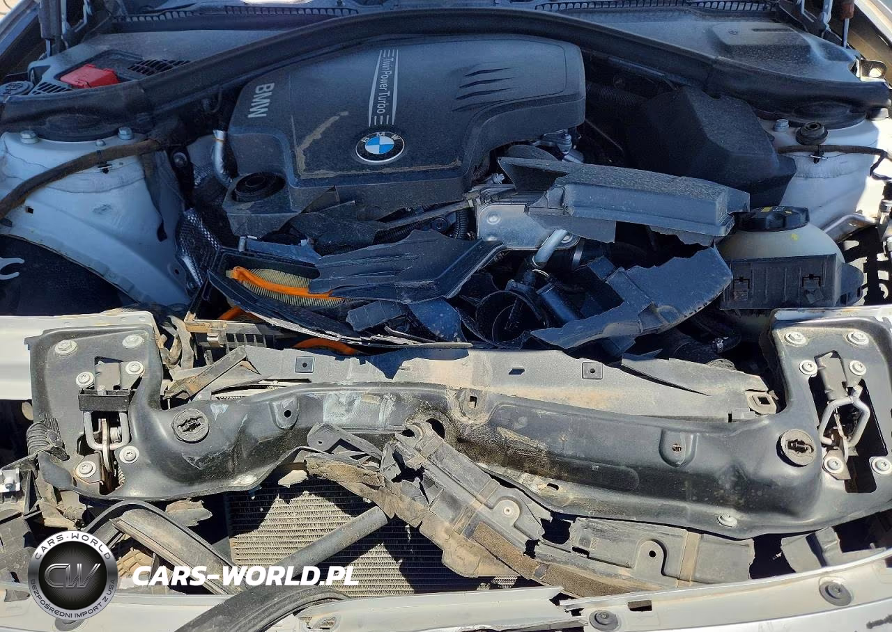 2015 BMW 320 I VIN:WBA3B1G52FNT02090 - 11