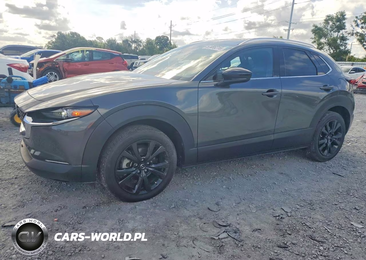 2023 Mazda Cx-30 Premium VIN:3MVDMBDY0PM508427 - 1