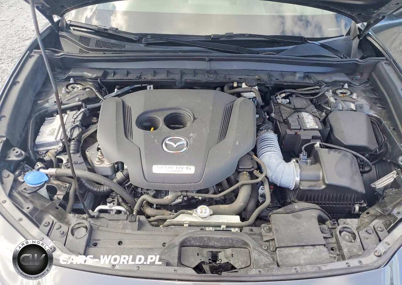 2023 Mazda Cx-30 Premium VIN:3MVDMBDY0PM508427 - 12